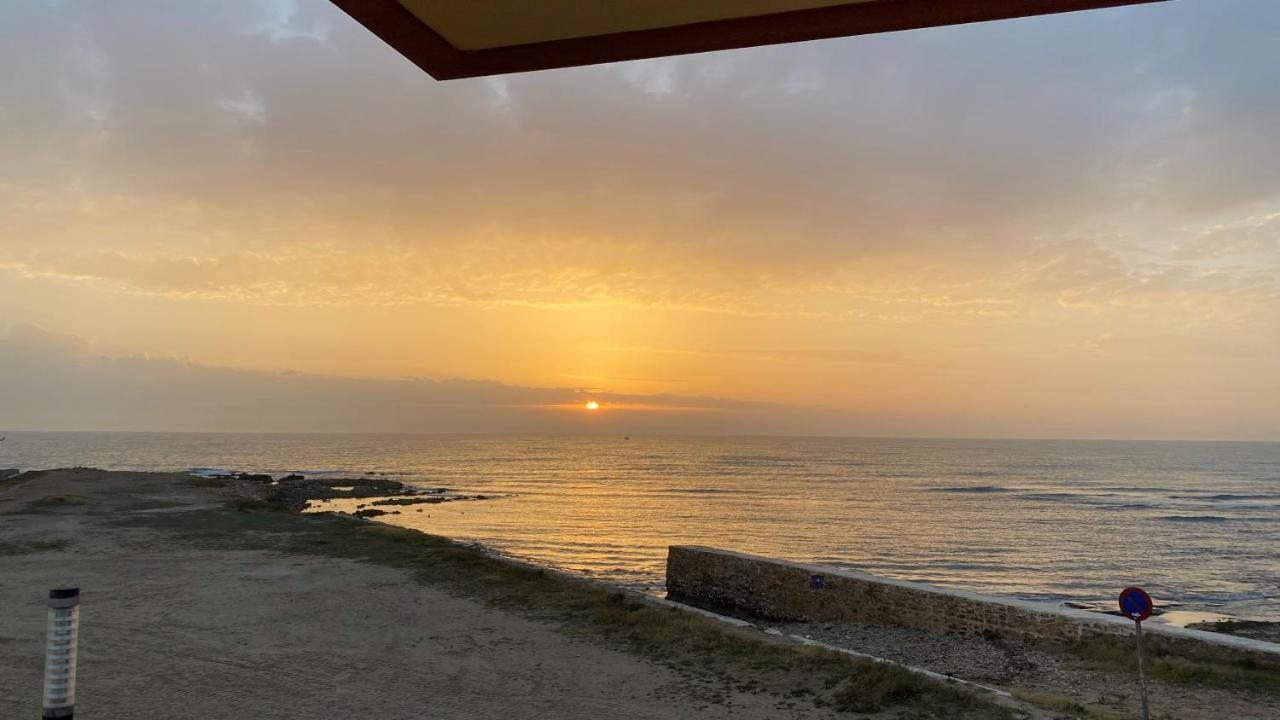 Beachfront Apartment - La Mata Торрев'єха Екстер'єр фото